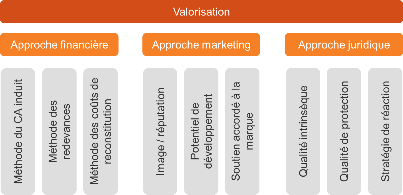 capital-immateriel-niveaux-approche