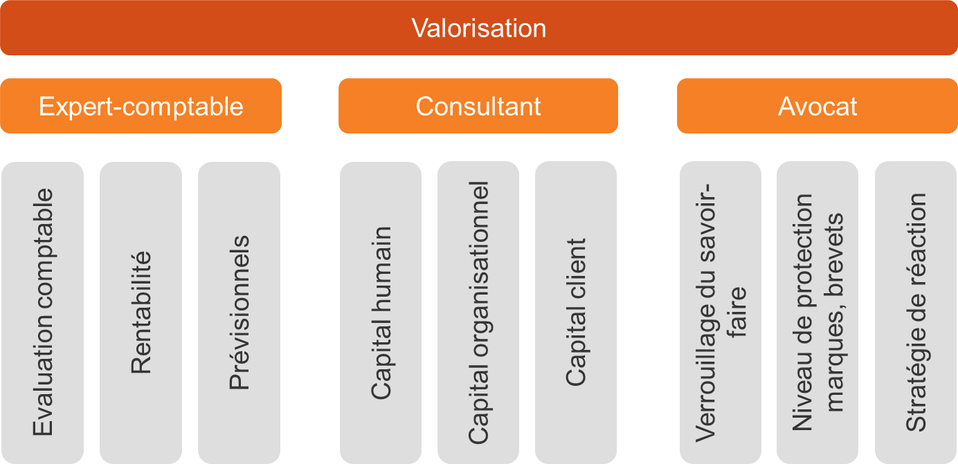 capital-immateriel-niveaux-expertise